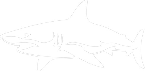 mako shark outline