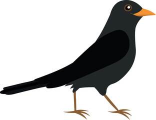 Common eurasian blackbird cartoon illustration isolated on white background. Flat style character for kids.