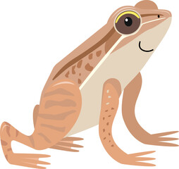 Common frog cartoon illustration isolated on white background. Flat style character for kids.