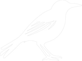 meadowlark outline