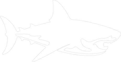 Obraz premium Megalodon outline