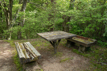 森の中にある古びた木製のベンチとテーブル