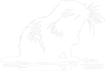 muskrat outline