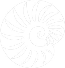 Obraz premium nautilus outline