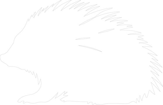 North American porcupine outline