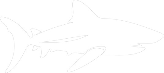 Obraz premium nurse shark outline