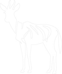 okapi outline