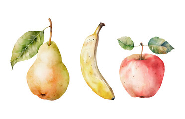 Set of watercolor fruits: pear, apple and banana. Hand drawn illustration
