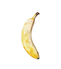 Watercolor illustration of a yellow banana, isolated on a white background. Hand painted.