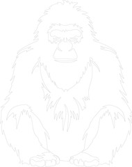 orangutan outline