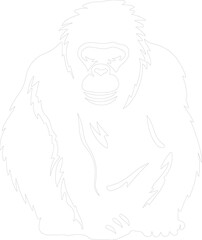 Obraz premium orangutan outline