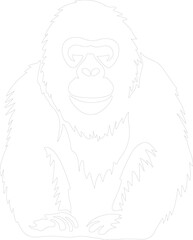 orangutan outline