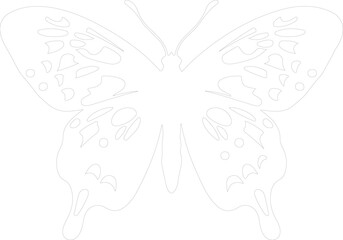 Oregon silverspot butterfly outline