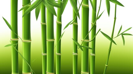 Lush Green Bamboo Stalks on a Vibrant Background