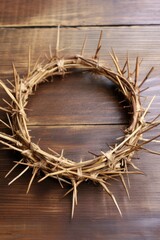 Fototapeta premium Rustic Crown of Thorns on Wooden Background