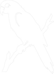 parrot outline