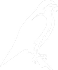 peregrine falcon outline