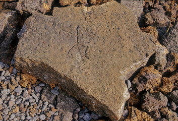 Puakō Petroglyph Archaeological Preserve