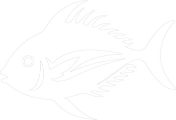 Fototapeta premium pompano outline
