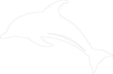 Obraz premium porpoise outline