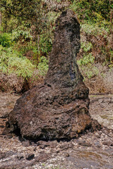 Lava Tree State Monument
