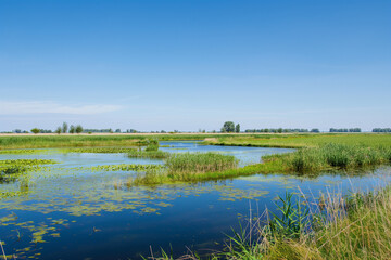 Beautiful natural landscapes of the river. A bird's-eye view of the drone