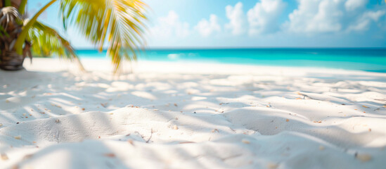 Closeup of white sand on tropical beach with palm tree on sunny day.