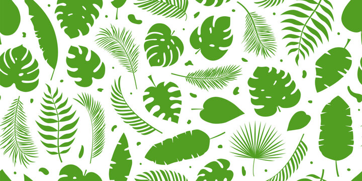 Palm leaf seamless pattern, jungle tropic leaves background, summer banana tree, cute monstera, cartoon abstract hawaii forest, exotic ornament, tropical floral print. Foliage vector illustration