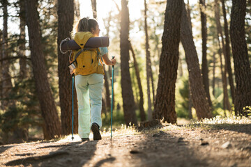 Solo Female Hiker Trekking in Sunlit Pine Forest