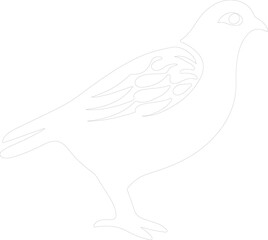 quail outline