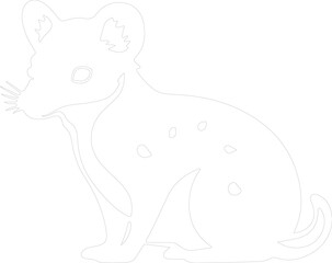 Obraz premium quoll outline