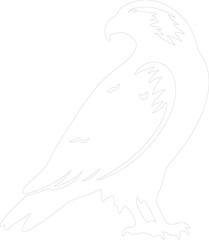 red-tailed hawk outline