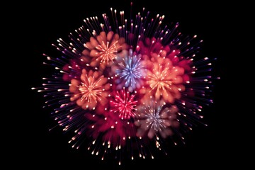 Colorful Fireworks Display in Night Sky