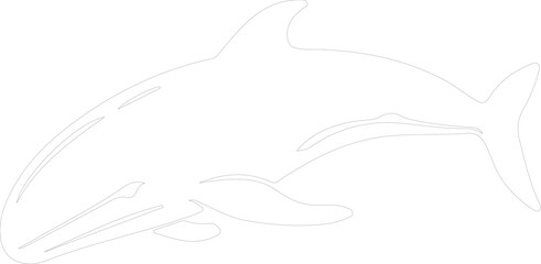 right whale outline