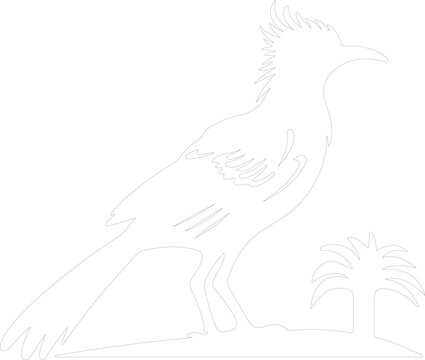recommend clip art: roadrunner outline