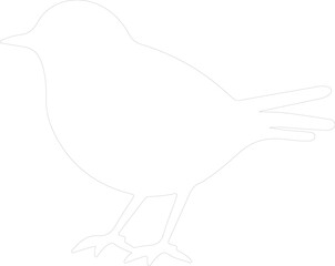 robin outline