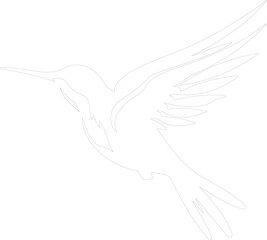 ruby-throated hummingbird outline