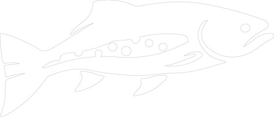 Fototapeta premium salmon outline