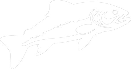 salmon outline