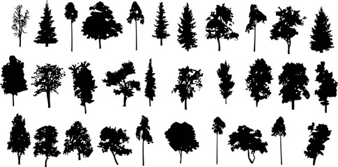 silhouette tree line drawing set, Side view, set of graphics trees elements outline symbol for architecture and landscape design drawing	