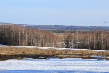 landscapes of forests and fields of northeastern Europe in early April on a sunny day
