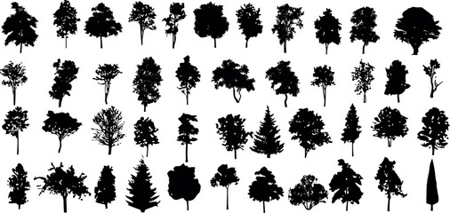 Fototapeta premium tree, vector, forest, oak, architecture, line, plant, landscape, black, background, maple, branch, elevation, tropical, white, cad, design, art, side, set, nature, architect, outline, abstract, leaf,