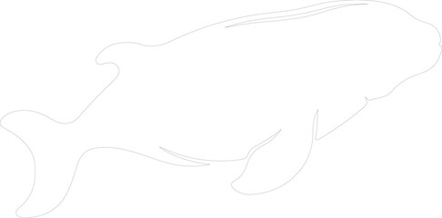 sea cow outline
