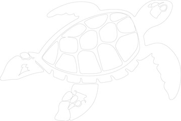 sea turtle outline