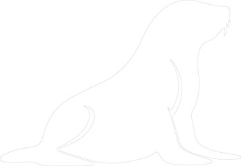 sealion outline