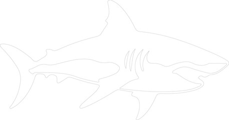 Obraz premium shark outline