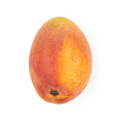 A whole mango fruit isolated on white background. clipping path included.