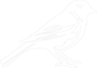 sparrow outline
