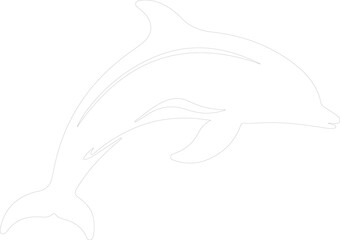 Obraz premium spectacled porpoise outline