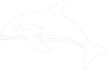 Obraz premium spectacled porpoise outline